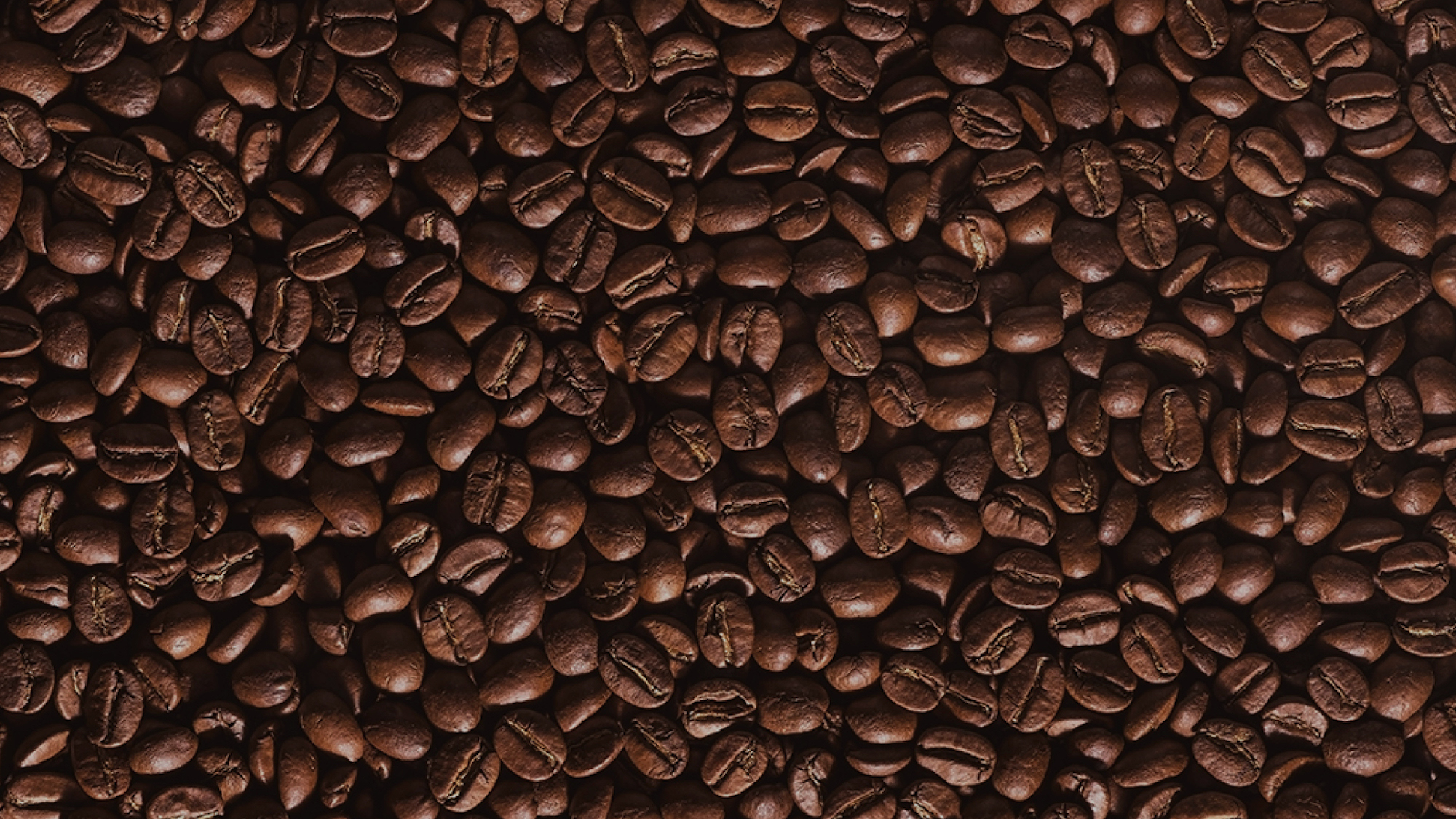 Équipe d'ambassadeurs-vendeurs spécialisés pour la célèbre marque de café Nespresso